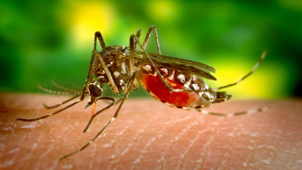 Recomendaciones para prevenir el dengue