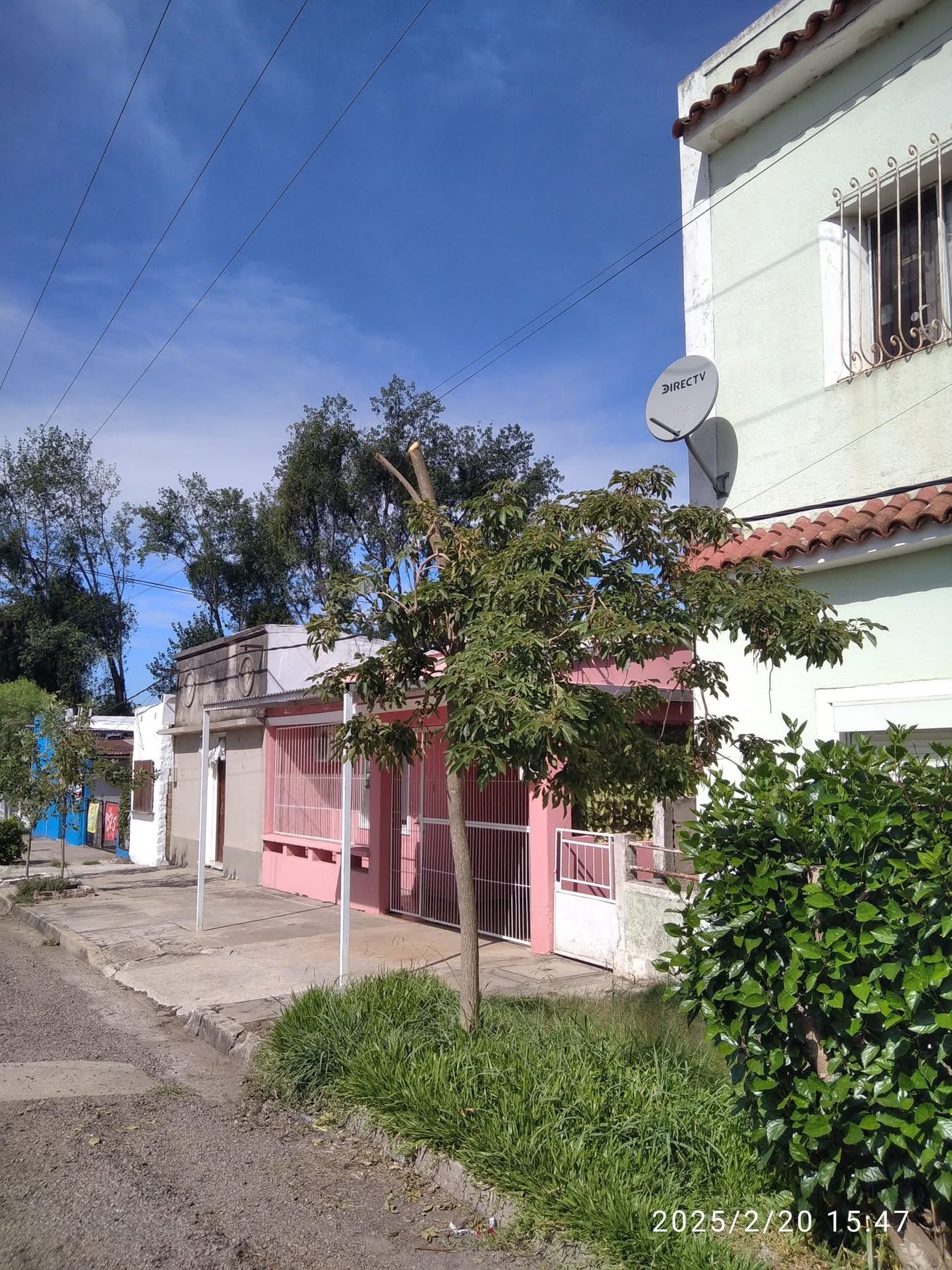 Quejas de vecinos por árboles “podados por UTE” 