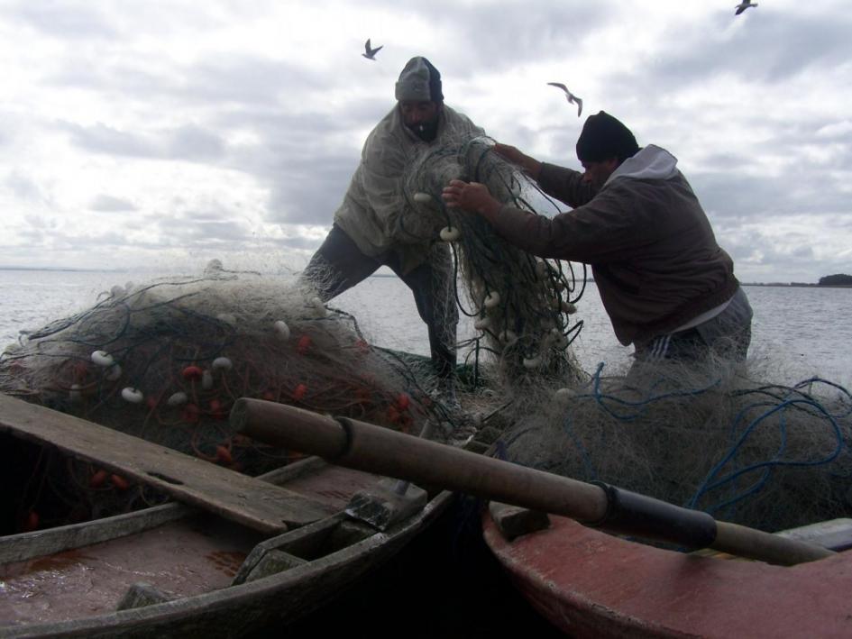 Llamado abierto  Registro de aspirantes a permiso de pesca artesanal para las Zonas  G, H e I