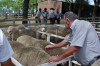 Imagen de muestra