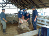 Imagen de muestra